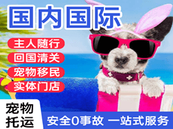 兰旗空运代理国际宠物托运 【国